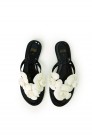 CHANCLAS BSB